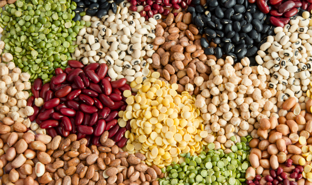 Varietat de llegums