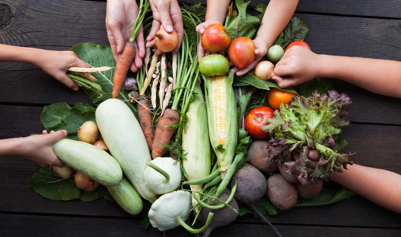 Trobades ReCrea #2: Alimentació sostenible i mediambient