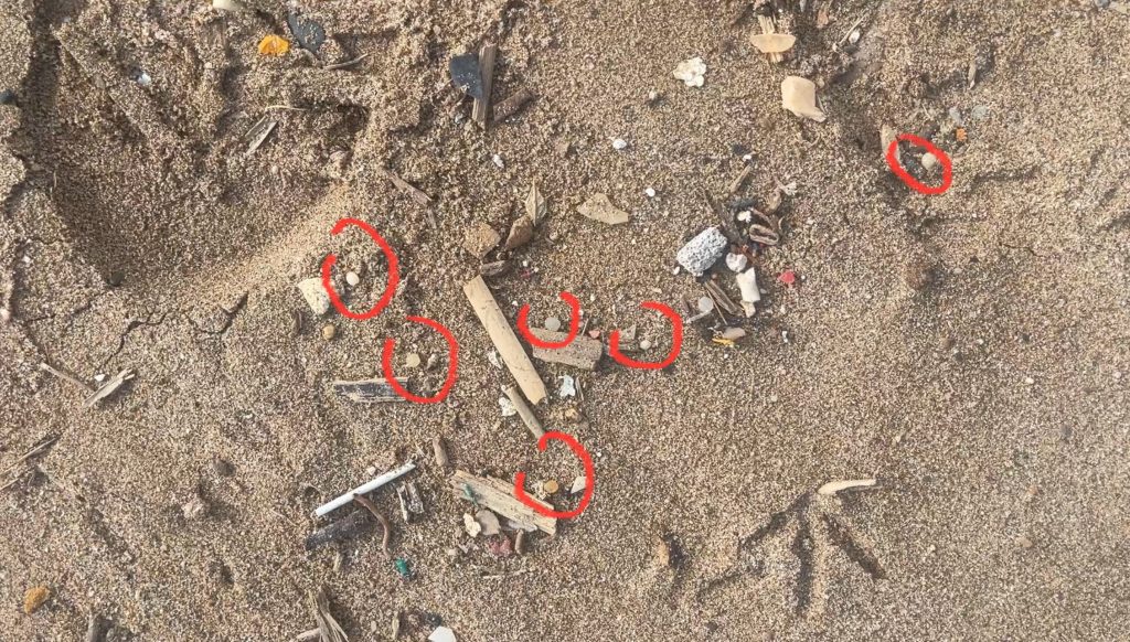 Pèl·lets a la platja de Gavà